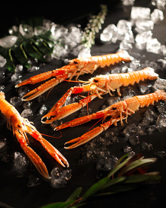 1571735787 20 - Estudio24